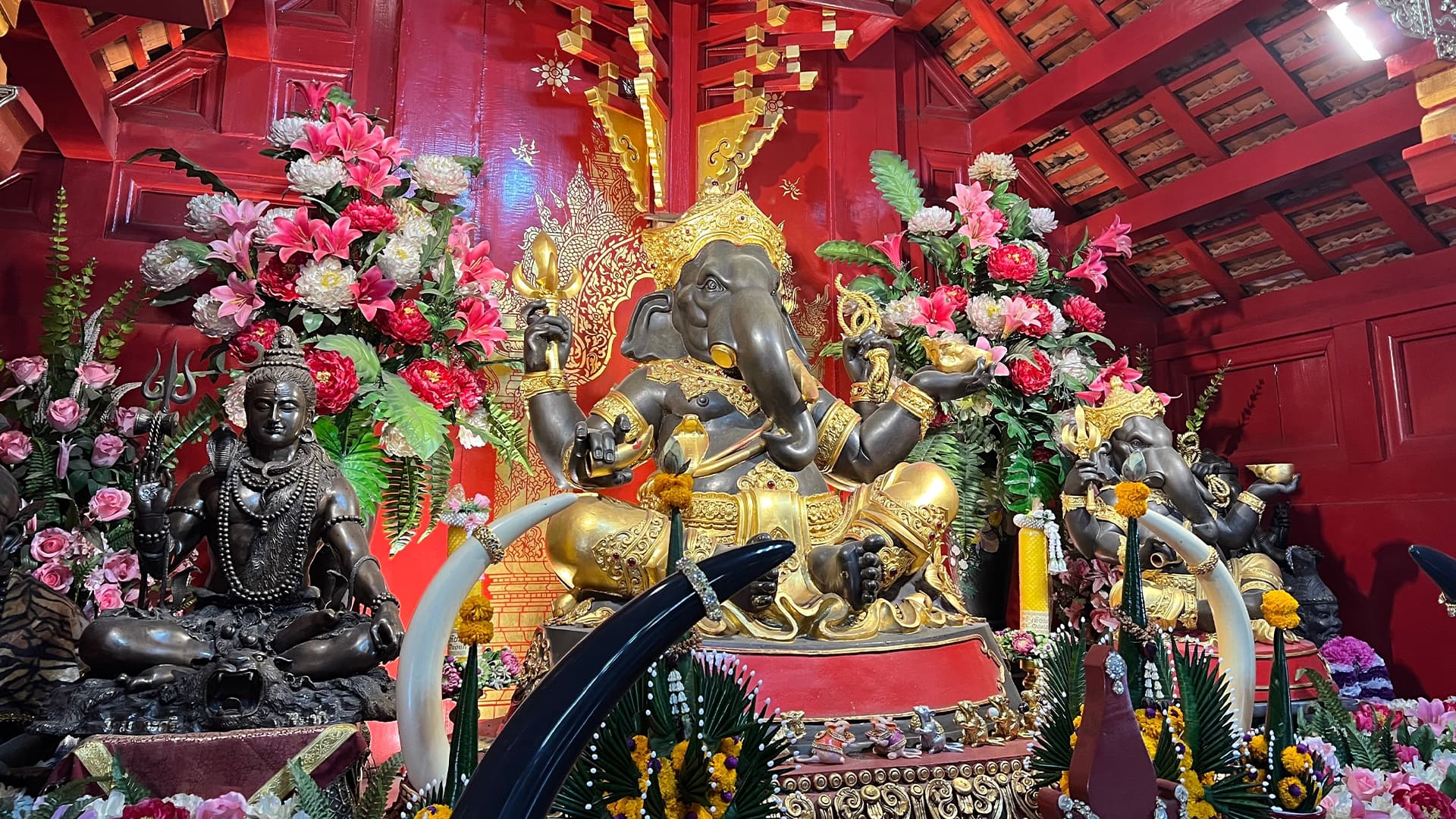 travel-story-1740043687_d1e60fef0cc953c71052-0