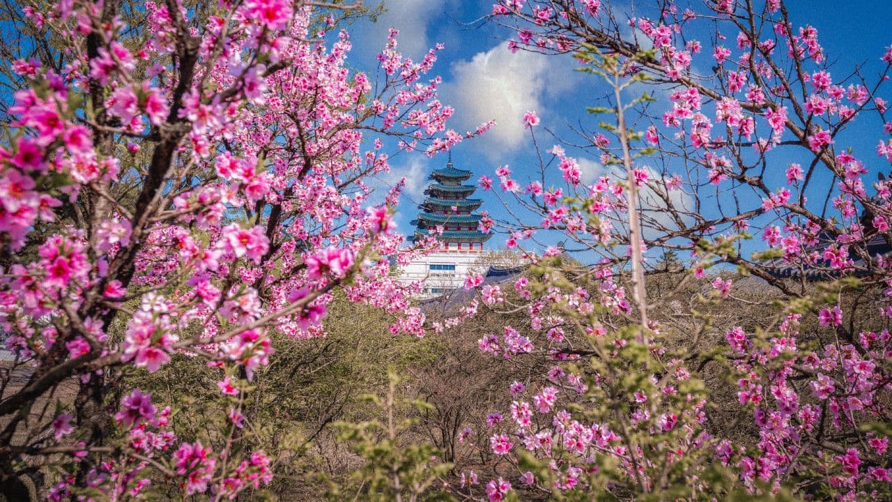 travel-story-1727777411_f5a8742449b4a5ec77f8-0