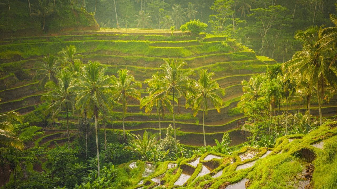 travel-story-1727777823_b31b0740dc241f84bbcd-0