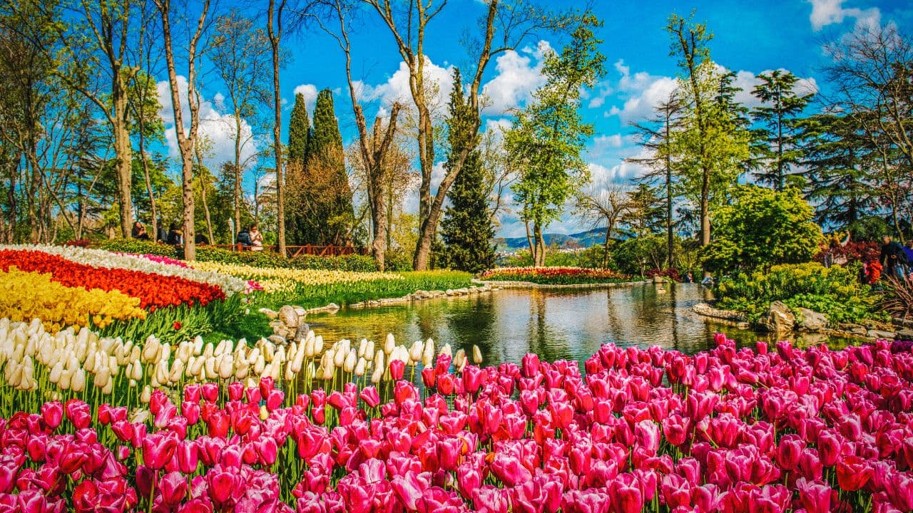 travel-story-1727778208_1d6b58bd8b43439a27f0-0
