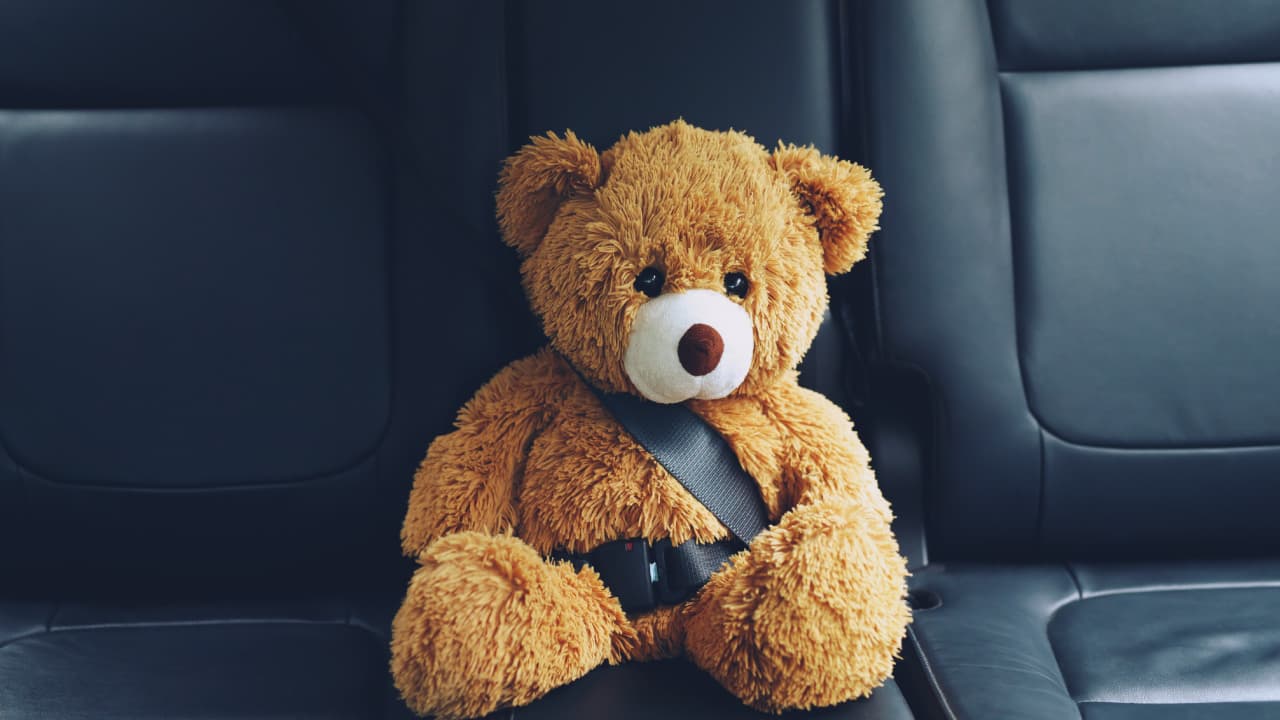 travel-story-1740036695_7dfedebaff2e4c0a4830-0