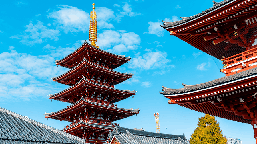 travel-story-1773224979_7d383a85c0270222dcd2-0