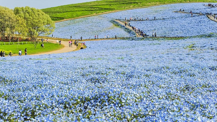travel-story-1741935770_ceedad658e86df94c374-0