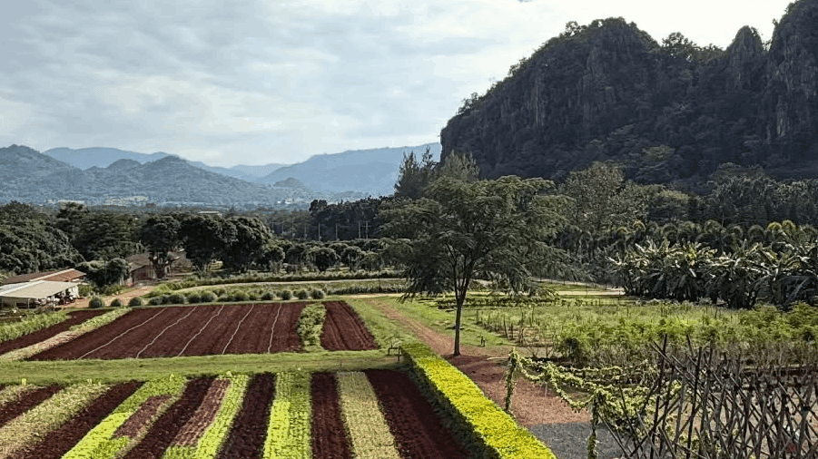 travel-story-1773455658_20cf7e69802be58fc325-0