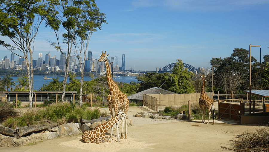 travel-story-1746564647_21705ddaeaa7dd155ce3-0