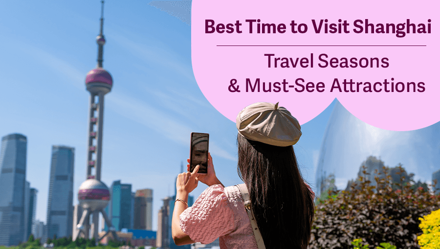 travel-story-1746156219_843d20ad065663056dcb-0