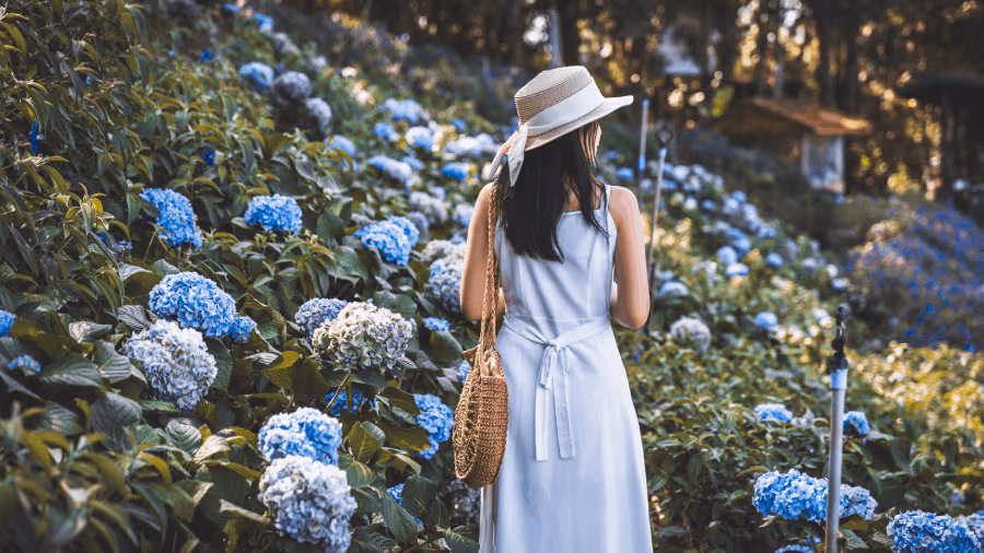 travel-story-1773049447_f01803e4febec71a63fe-0