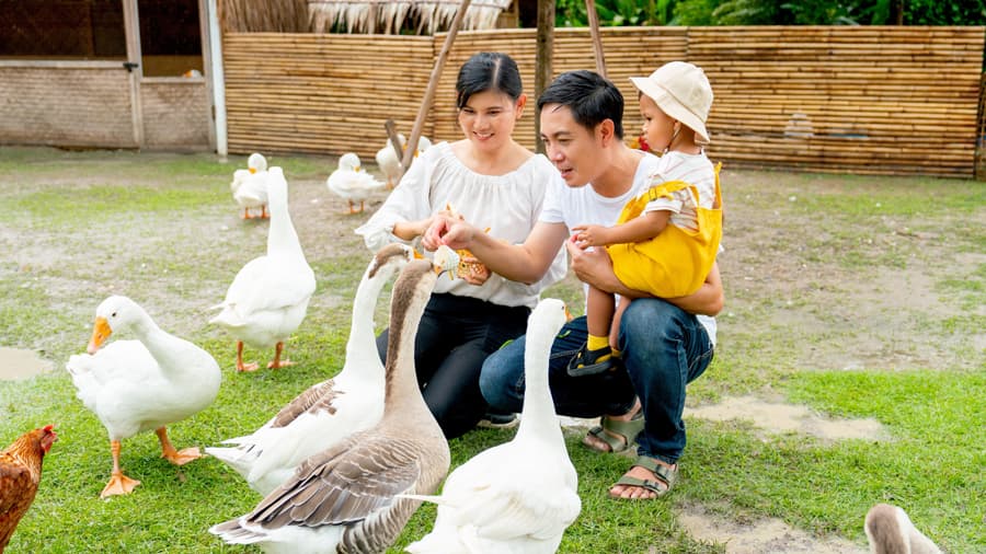 travel-story-1742452646_394d76c9c5209b6930c9-0