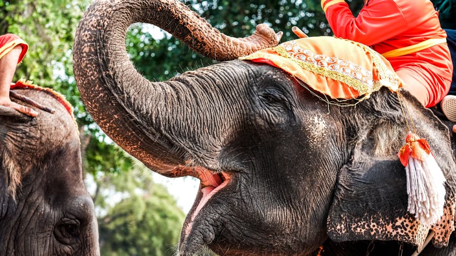 travel-story-1742452769_9e9c9a8bc8ec9253be3a-0