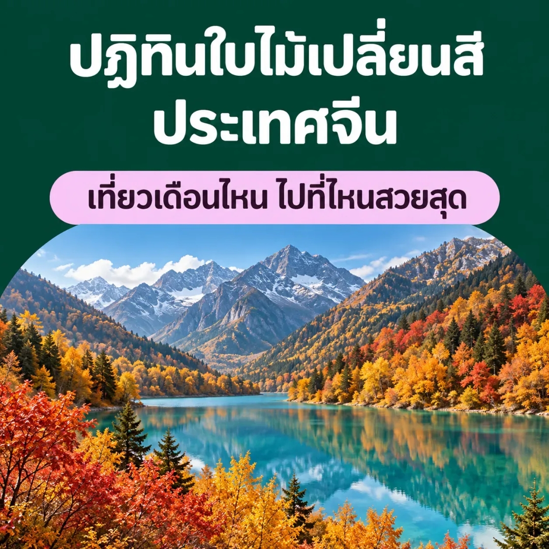 ปฏิทินใบไม้เปลี่ยนสี ประเทศจีน 2026 เที่ยวเดือนไหน ไปที่ไหนดี?
