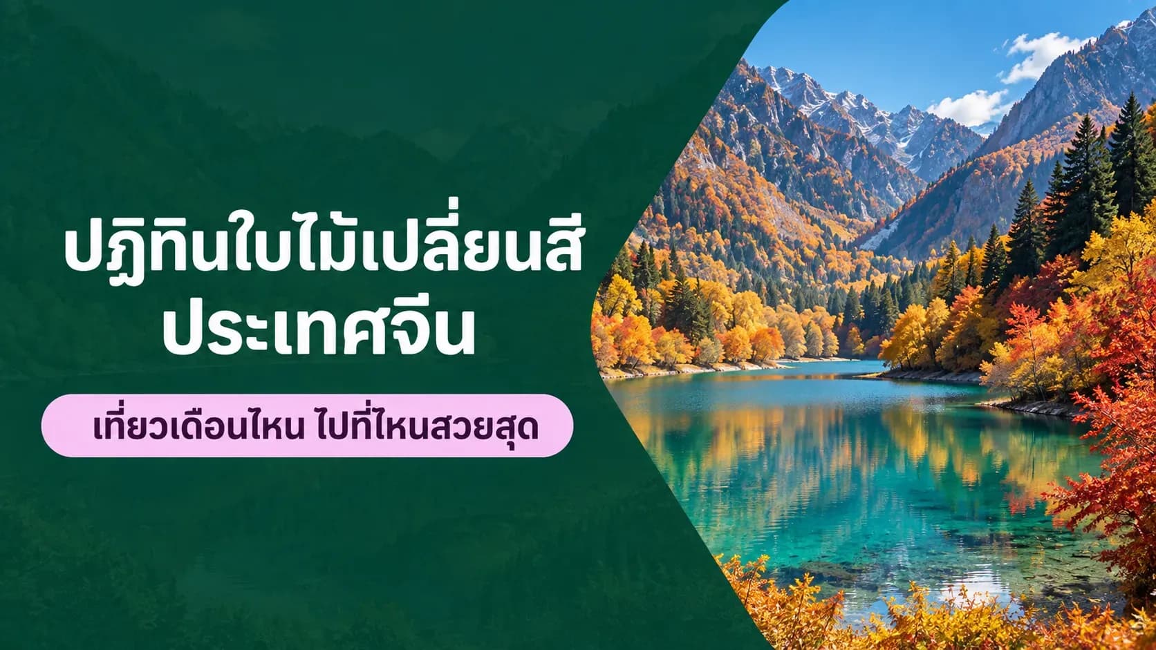 travel-story-1789460740_202ed43d30a7d89b60fe-0