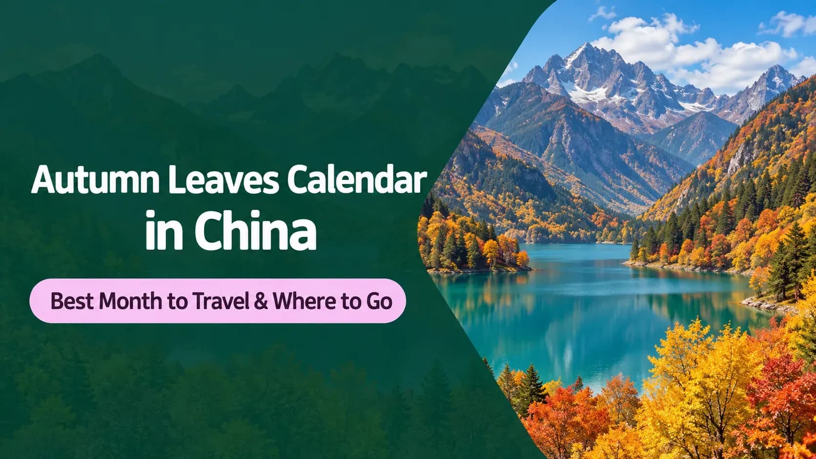 travel-story-1789460744_afb3744497bfd0b7b089-0
