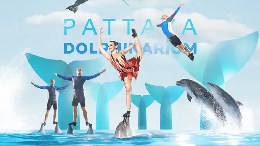 travel-story-1745742663_6d9c4e2044c3de41b646-0