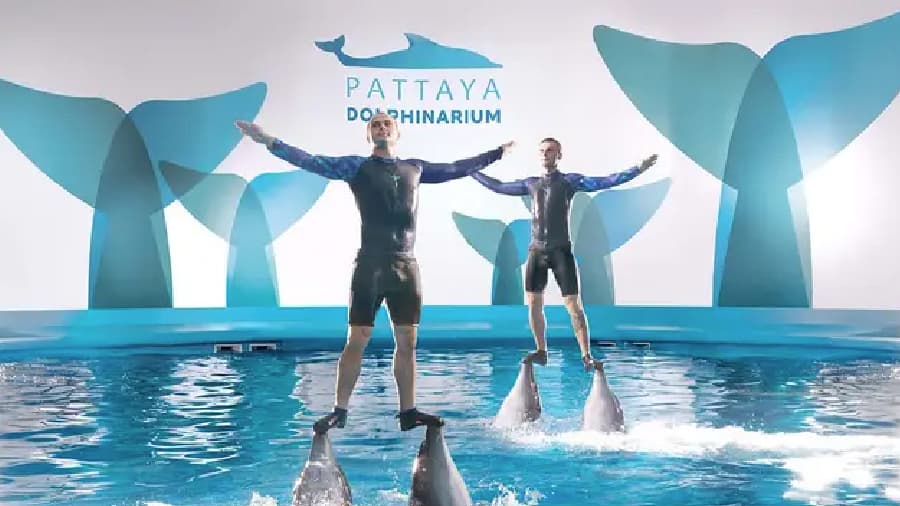 travel-story-1745742671_76d5575926ea862654db-0