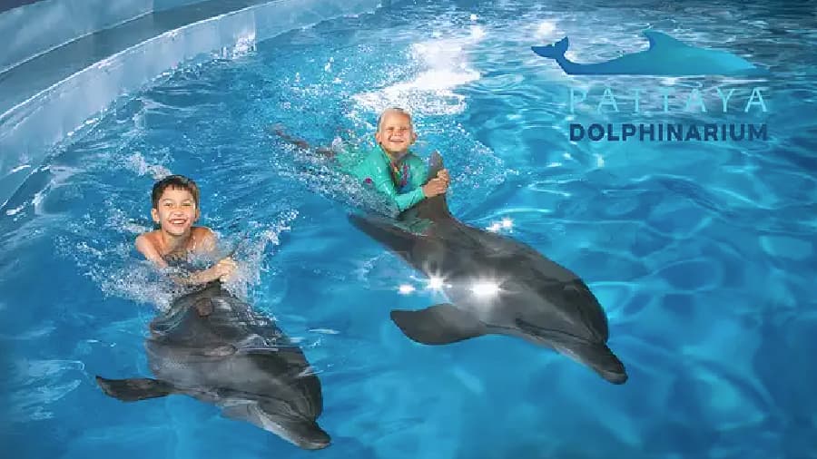 travel-story-1745742683_eb9afcddccc8444eed84-0