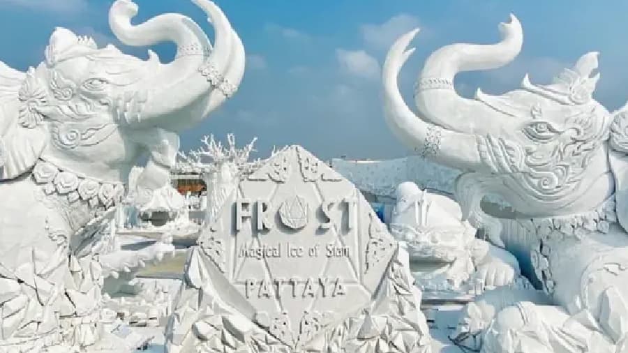 travel-story-1745742688_1d01ca4d3d681feeb712-0