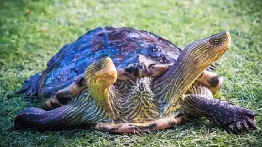 travel-story-1745742742_e6d7bc0af83001ff71c5-0