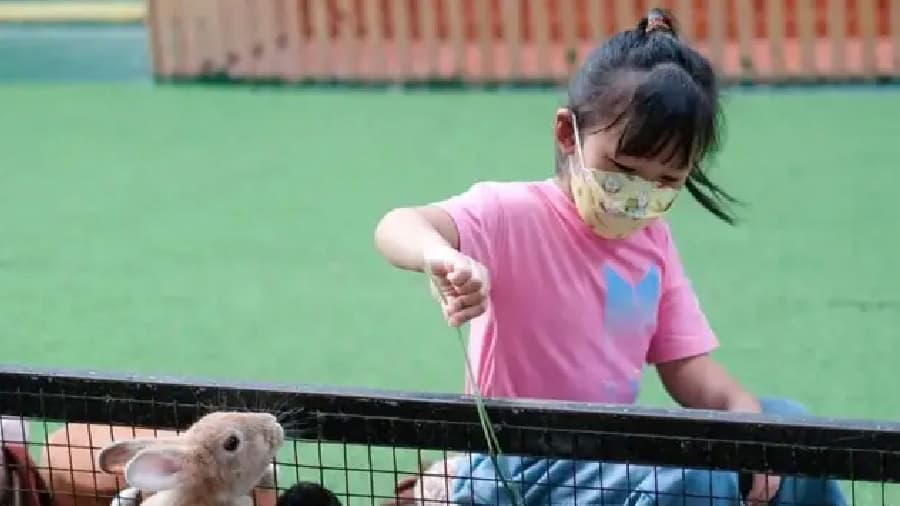 travel-story-1745742751_9dcb4757084e82e2f6d8-1