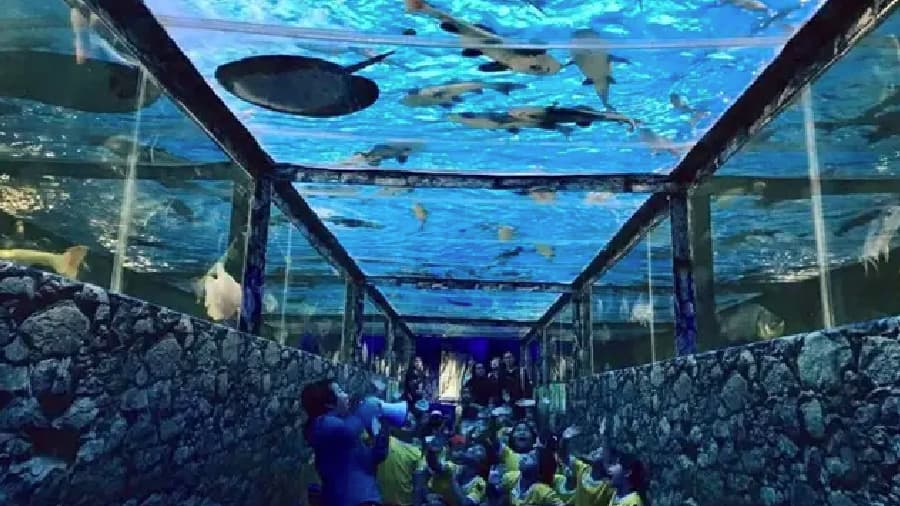 travel-story-1745742759_f8d82f5c3191e5e05df1-0