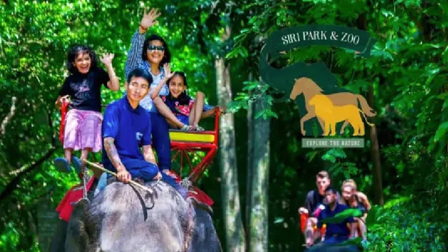 travel-story-1745742768_75da96189c0ca1a7a53f-0