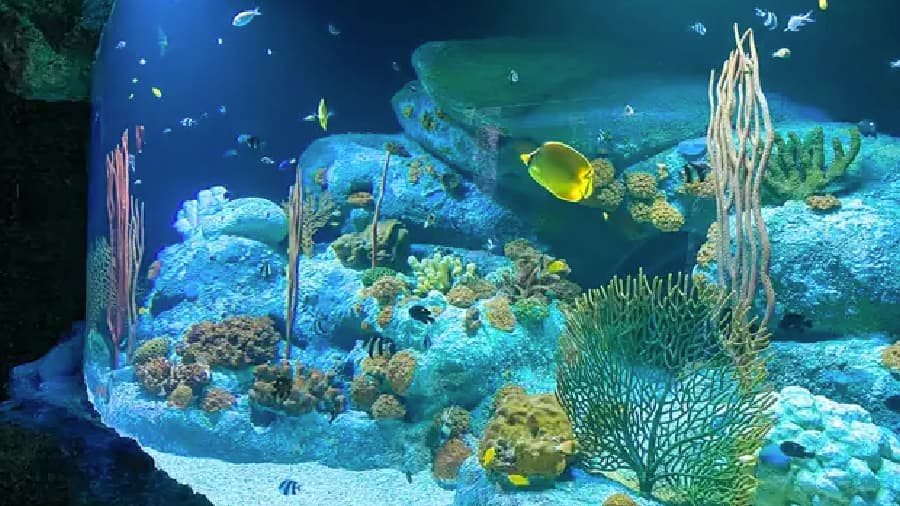 travel-story-1745742800_a3d97a7e7d901eb5d202-0