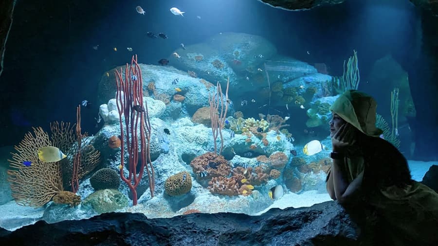 travel-story-1745742814_7203efe29e3ab43301f8-1