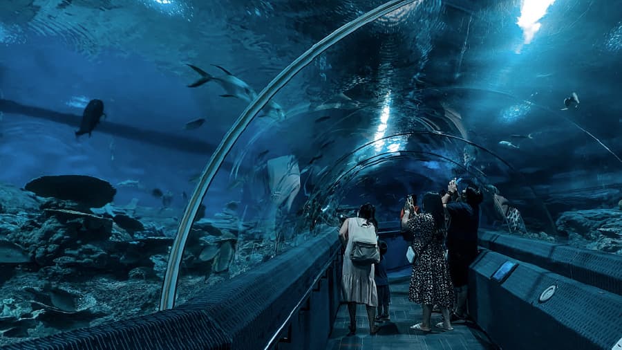 travel-story-1745742816_b3ef60e41933fb935a6c-0