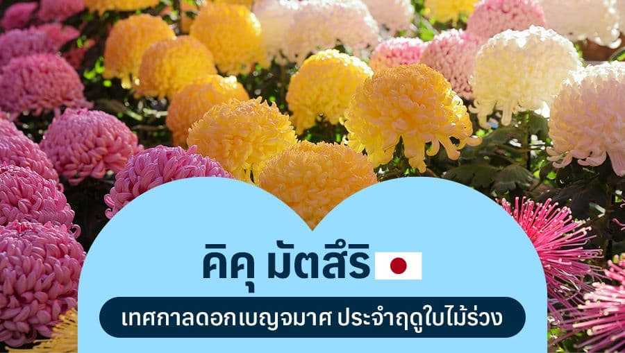 travel-story-1753958342_aeccb884abc0141a6e8b-0