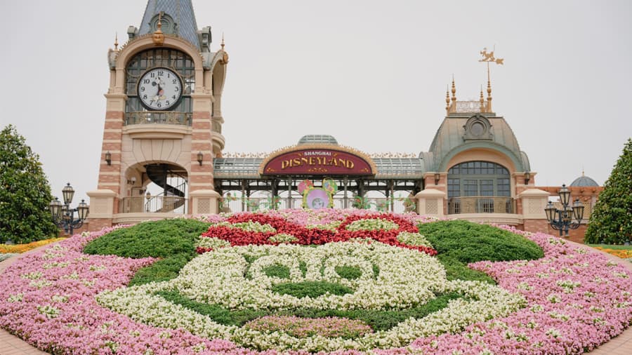 travel-story-1761104254_419c50832b0c742a52f3-0