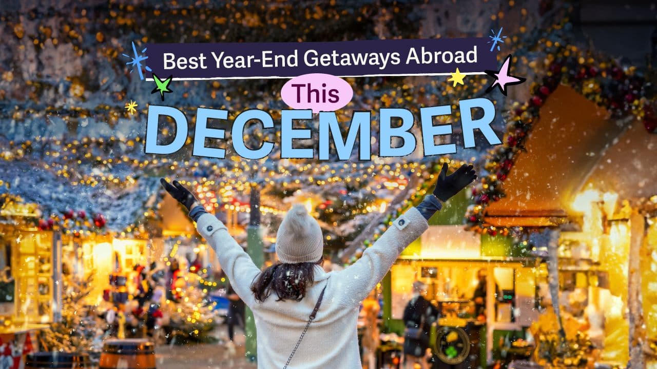 travel-story-1731412267_6d766725fb34be46abe4-0