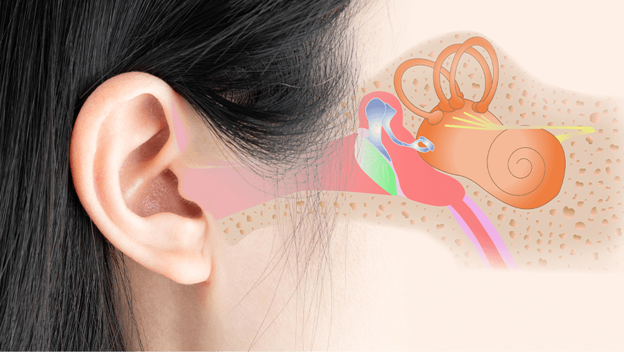 travel-story-1748253962_bd3d4b9553e417c3f4a7-0