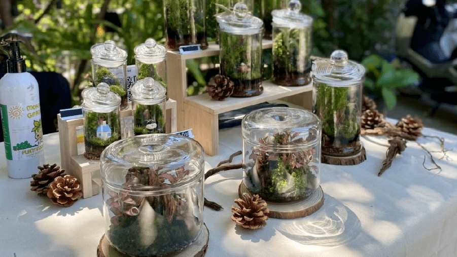 travel-story-1749089475_e4ba8d8e31e0caf33b97-0