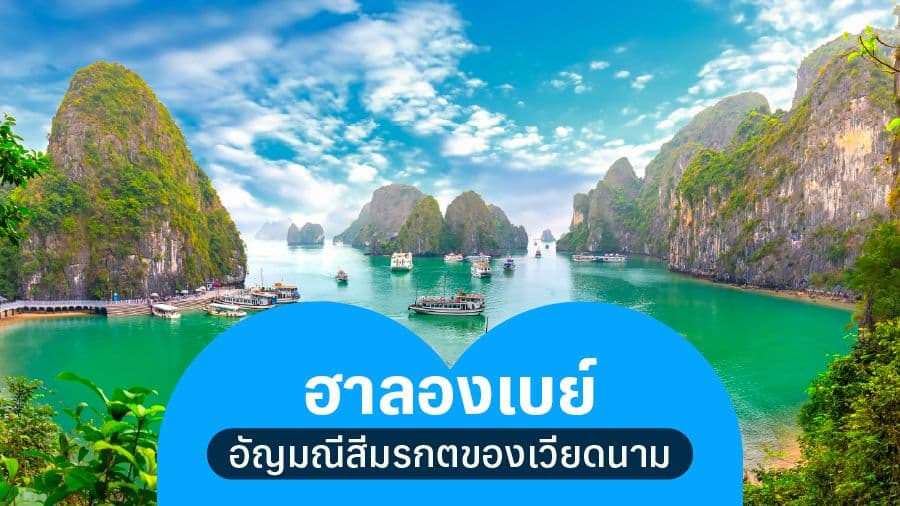 travel-story-1755146784_17cd233c3b492f83891a-0