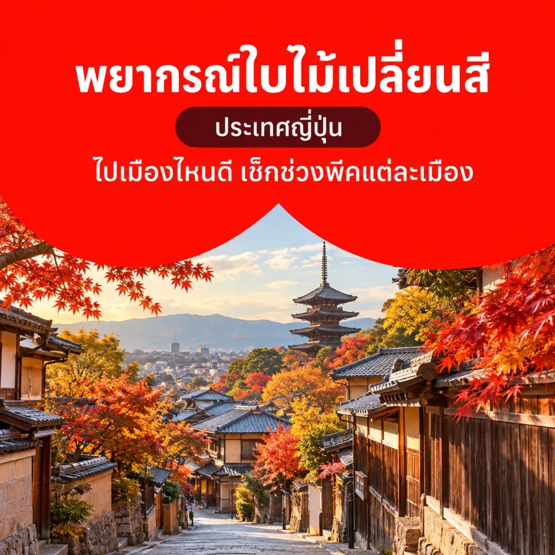 พยากรณ์ใบไม้เปลี่ยนสี ประเทศญี่ปุ่น ไปเที่ยวเมืองไหนดี เช็กช่วงพีคแต่ละเมือง