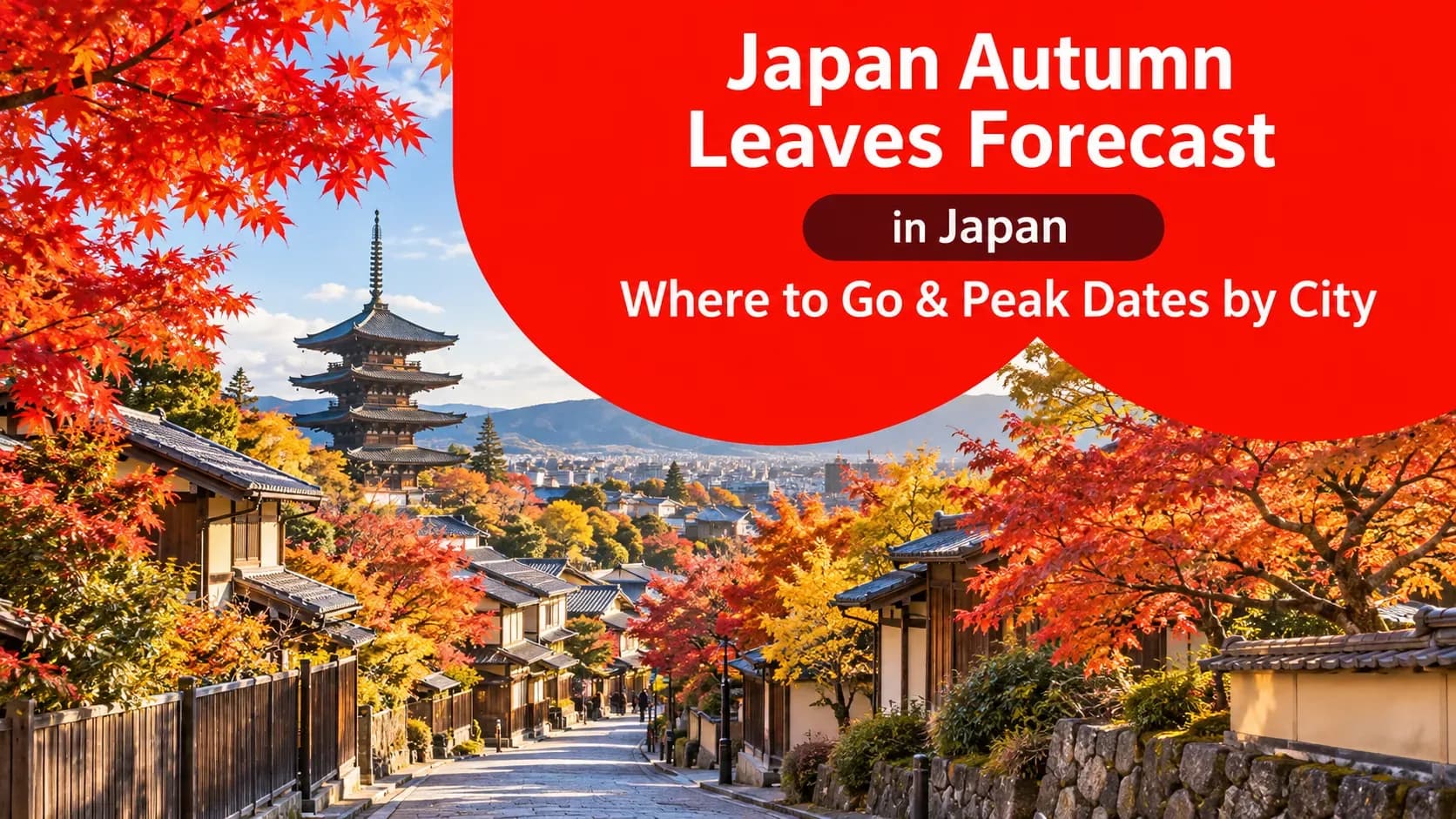 travel-story-1790050365_e70214729e8568ddb371-0
