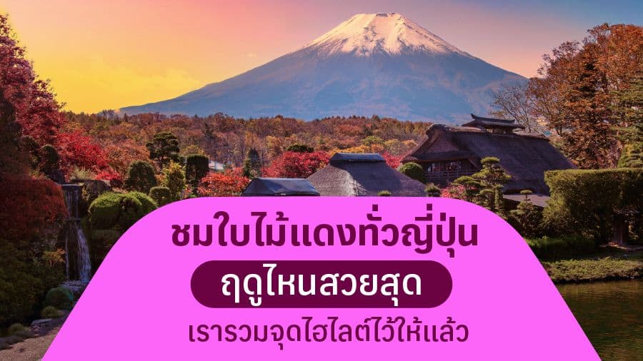 travel-story-1746159408_c13ae915039e1bb1f9f1-0