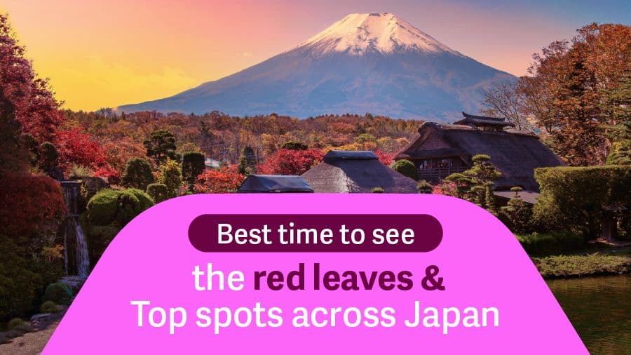 travel-story-1746159414_63a056c3a5be103646dd-0