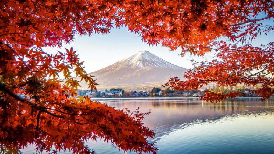 travel-story-1746166583_089b99f1c17711ce0b3f-0