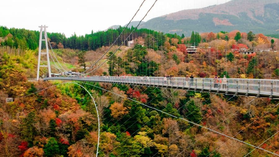 travel-story-1746166829_922fe00ed8d082738324-0
