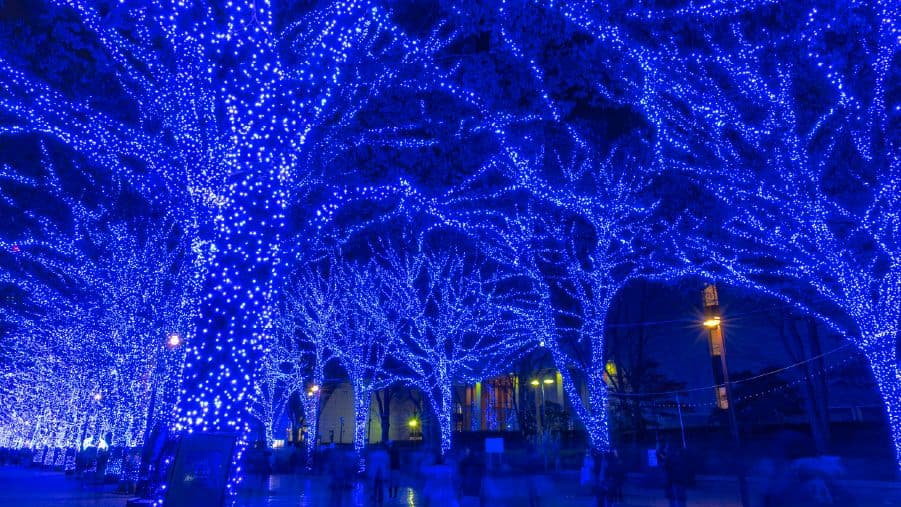 travel-story-1758019466_559508768c32df2399c9-0
