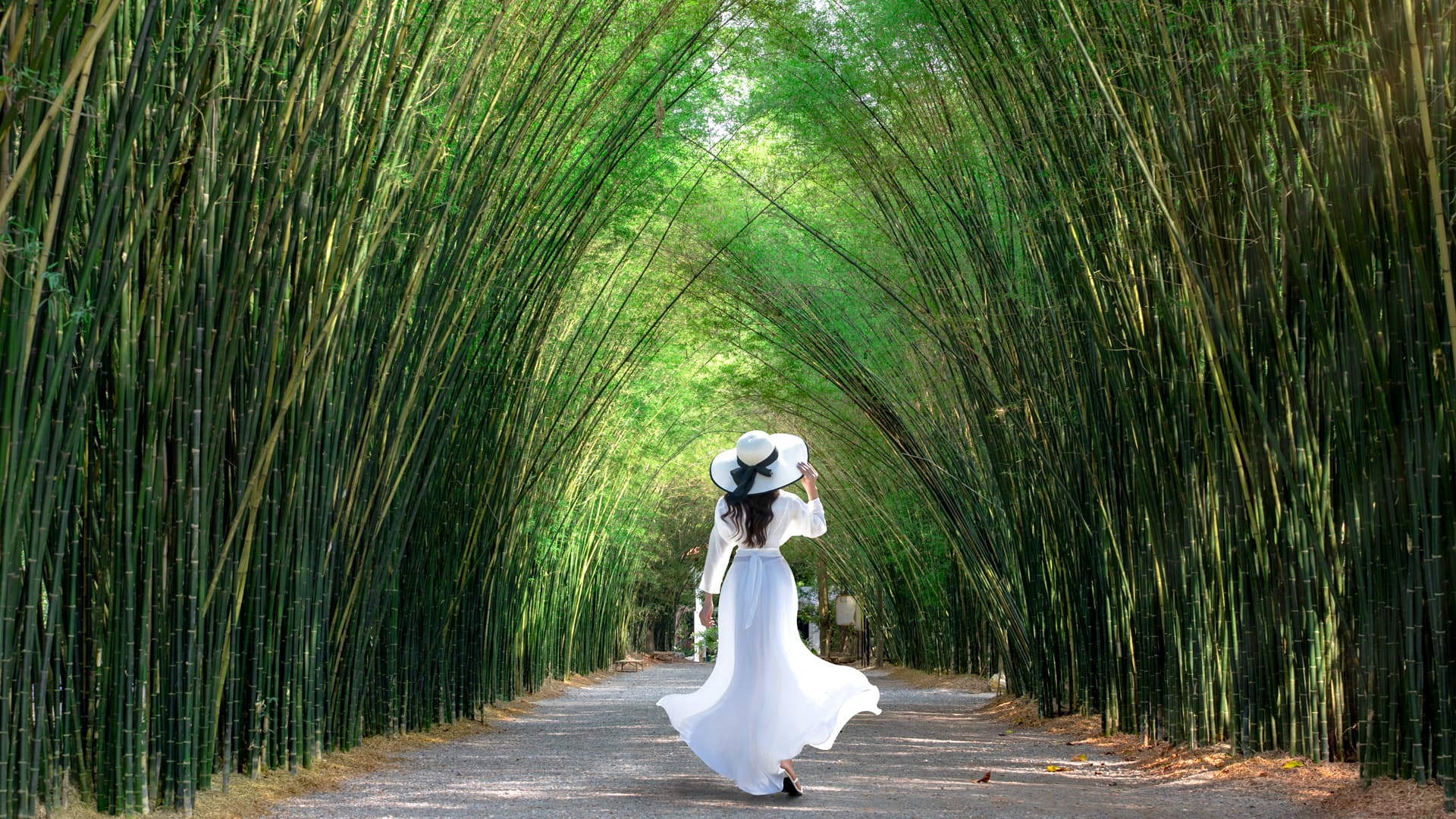 travel-story-1729247465_c5f540a62cd12f795bf2-0