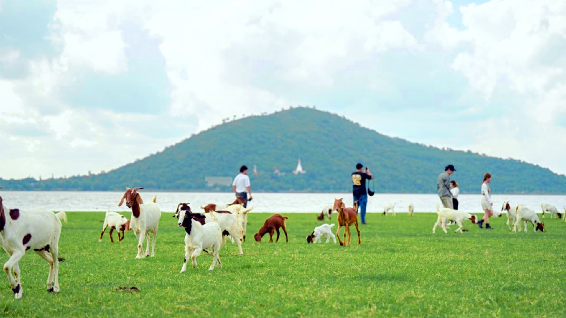 travel-story-1729248708_16a556348d9d23a8c1d1-0
