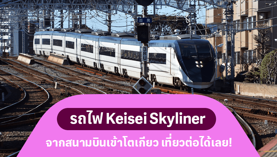 travel-story-1745579356_eb0399f8354f44615694-0