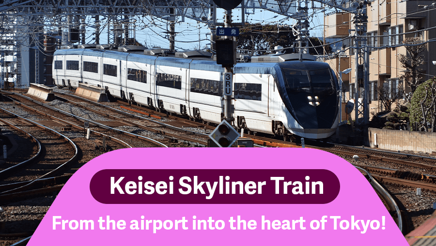 travel-story-1745579359_fc58ff659ae35e3f1958-0