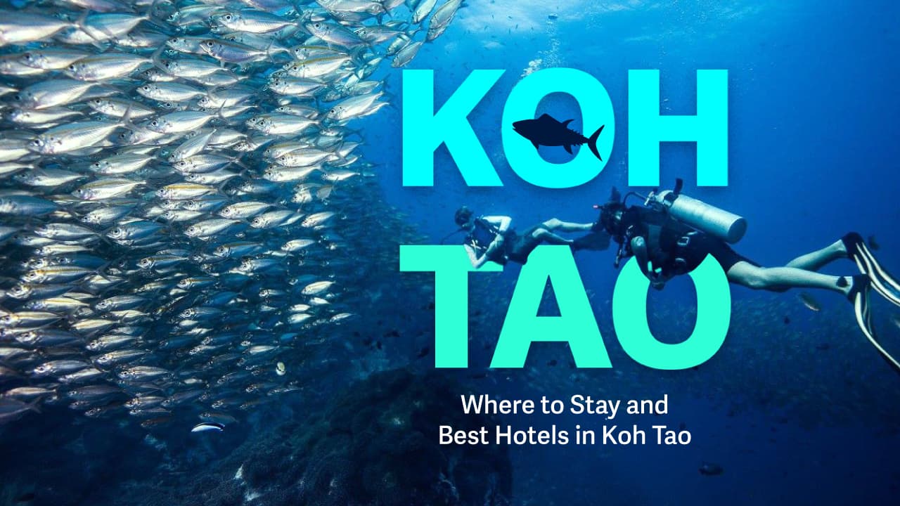 travel-story-1724039288_aa891d9f2a66041d59c5-0