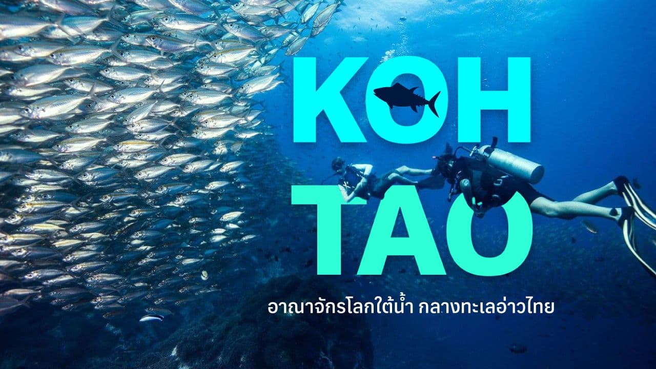 travel-story-1725275599_ef93460366b2d2b784b8-0