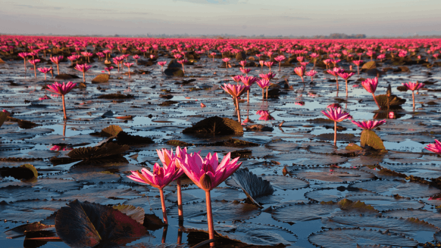travel-story-1773184287_4a2bbe8bce14684a90f9-0