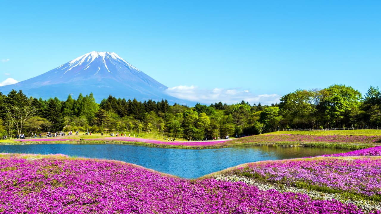 travel-story-1727840571_8a3bb3d36ab7a7480c56-0