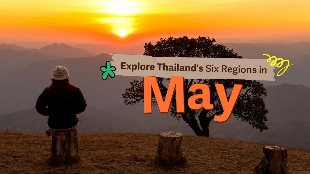 travel-story-1731410036_1fead2a07514b57616b4-0