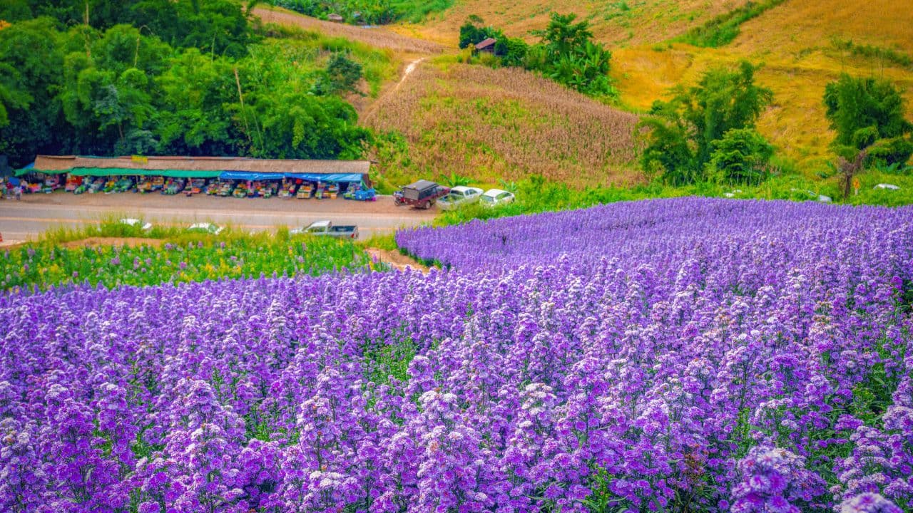 travel-story-1726809110_a41cf0eab15f5f39e3ac-0